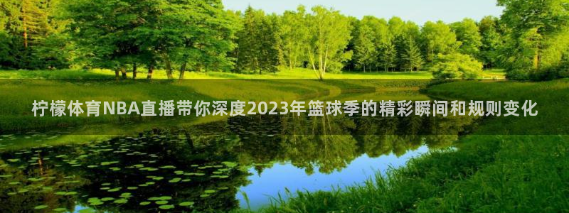柠檬体育NBA直播带你深度2023年篮球季的精彩瞬间和规则变化
