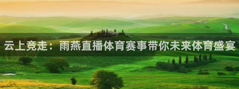 云上竞走：雨燕直播体育赛事带你未来体育盛宴
