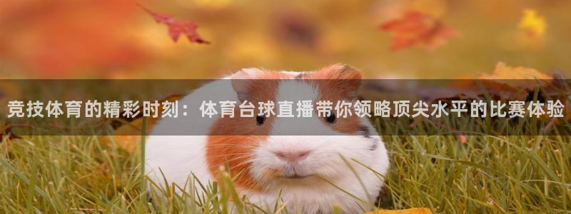 竞技体育的精彩时刻：体育台球直播带你领略顶尖水平的比赛体验