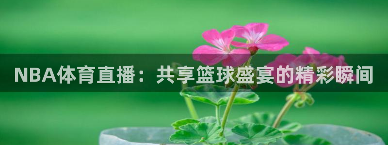 NBA体育直播：共享篮球盛宴的精彩瞬间