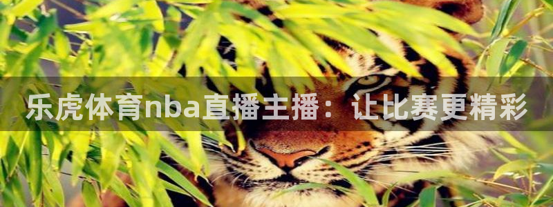 乐虎体育nba直播主播：让比赛更精彩