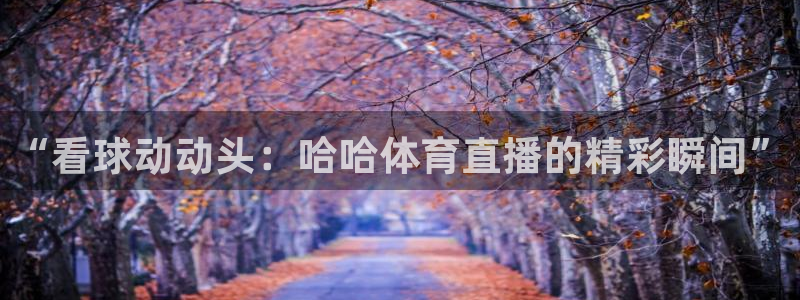 “看球动动头：哈哈体育直播的精彩瞬间”
