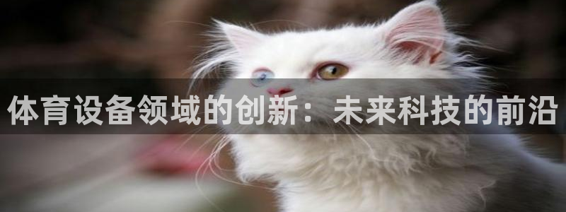 体育设备领域的创新：未来科技的前沿