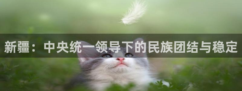 新疆：中央统一领导下的民族团结与稳定