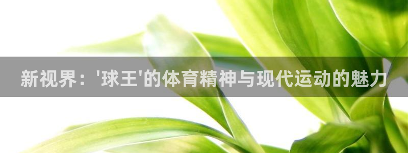 新视界：\'球王\'的体育精神与现代运动的魅力
