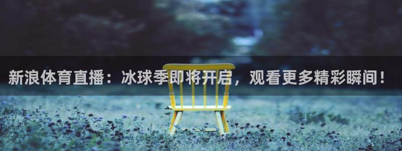 新浪体育直播：冰球季即将开启，观看更多精彩瞬间！
