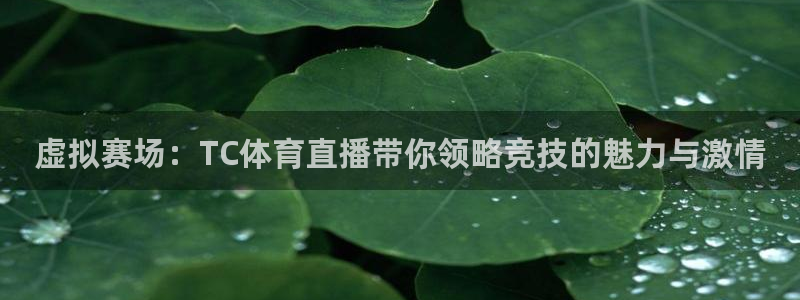 虚拟赛场：TC体育直播带你领略竞技的魅力与激情