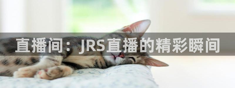 直播间：JRS直播的精彩瞬间