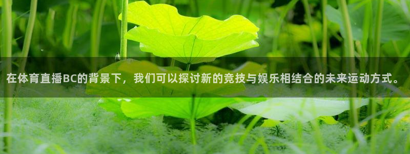 在体育直播BC的背景下，我们可以探讨新的竞技与娱乐相结合的未来运动方式。