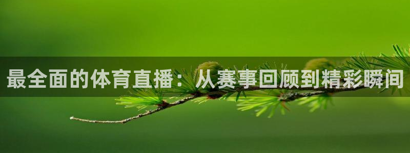 最全面的体育直播：从赛事回顾到精彩瞬间