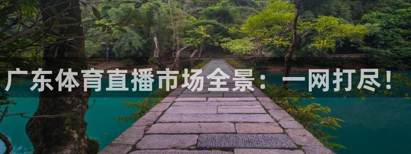 广东体育直播市场全景：一网打尽！