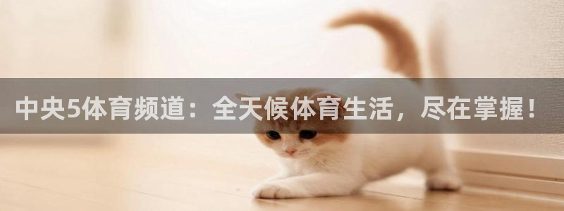 中央5体育频道：全天候体育生活，尽在掌握！