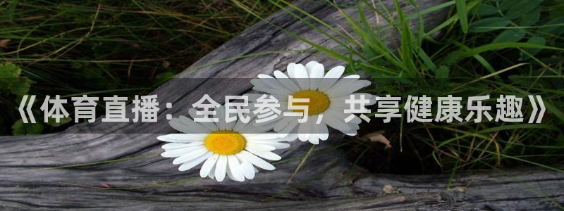 《体育直播：全民参与，共享健康乐趣》