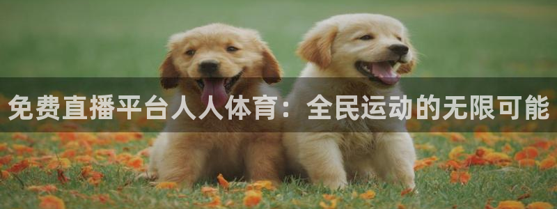 免费直播平台人人体育：全民运动的无限可能
