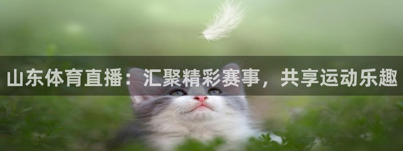 山东体育直播：汇聚精彩赛事，共享运动乐趣