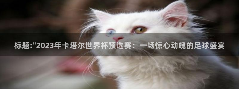 标题:\