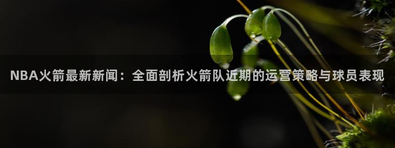 NBA火箭最新新闻：全面剖析火箭队近期的运营策略与球员表现