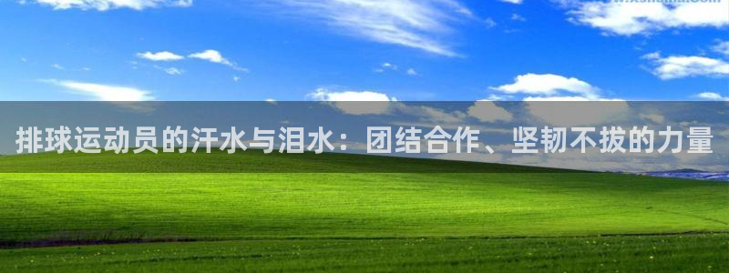 排球运动员的汗水与泪水：团结合作、坚韧不拔的力量