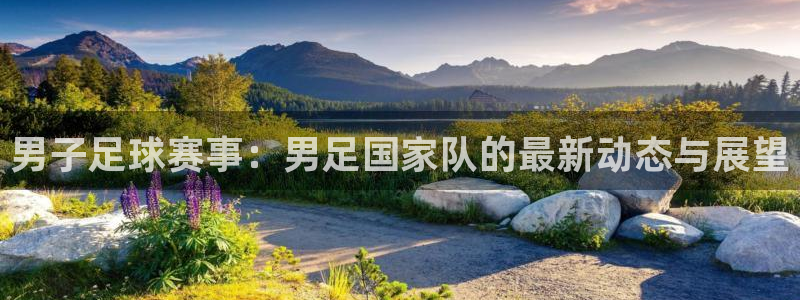 男子足球赛事：男足国家队的最新动态与展望