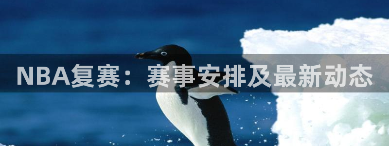 NBA复赛：赛事安排及最新动态