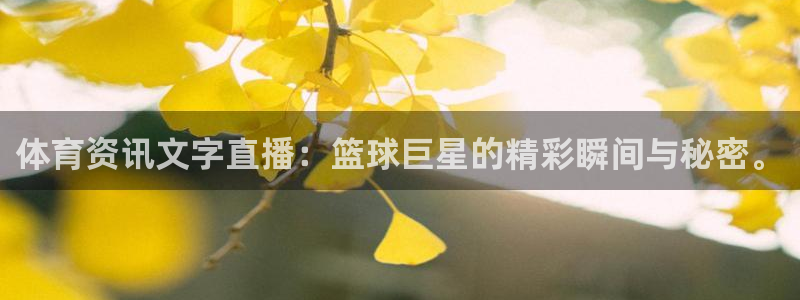体育资讯文字直播：篮球巨星的精彩瞬间与秘密。
