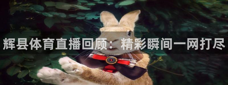 辉县体育直播回顾：精彩瞬间一网打尽