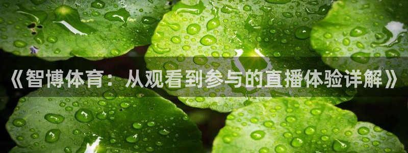 《智博体育：从观看到参与的直播体验详解》