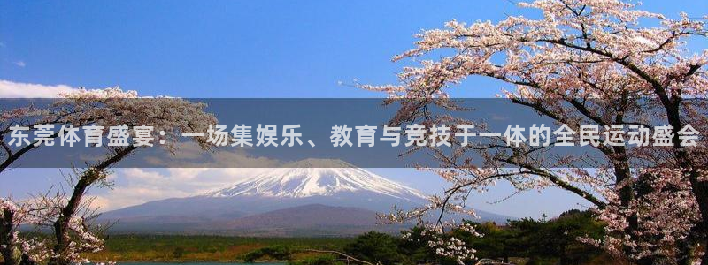 东莞体育盛宴：一场集娱乐、教育与竞技于一体的全民运动盛会