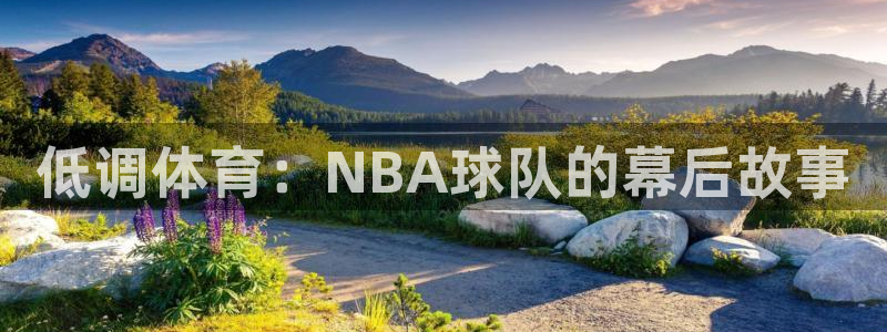 低调体育：NBA球队的幕后故事