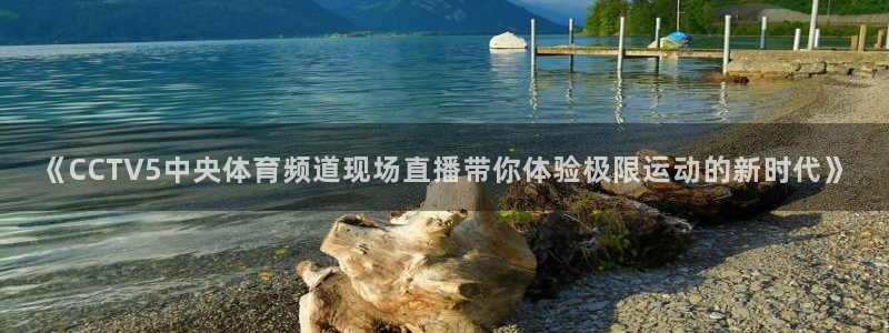 《CCTV5中央体育频道现场直播带你体验极限运动的新时代》