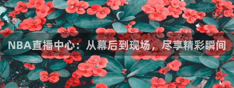 NBA直播中心：从幕后到现场，尽享精彩瞬间