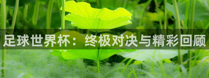 足球世界杯：终极对决与精彩回顾