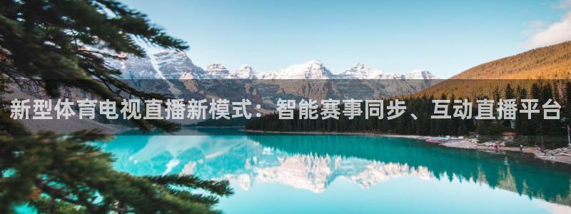 新型体育电视直播新模式：智能赛事同步、互动直播平台