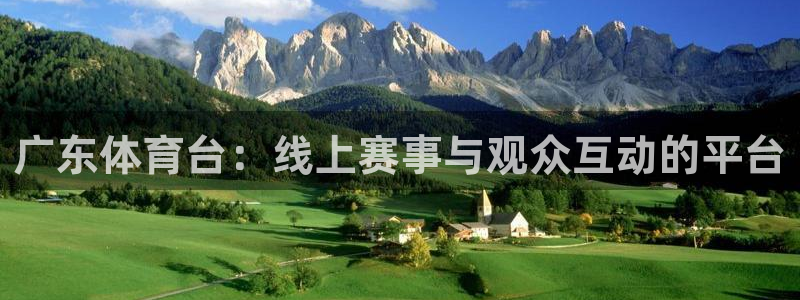 广东体育台：线上赛事与观众互动的平台