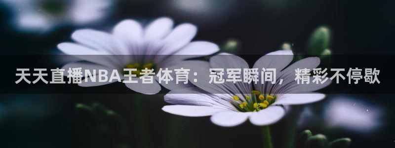 天天直播NBA王者体育：冠军瞬间，精彩不停歇