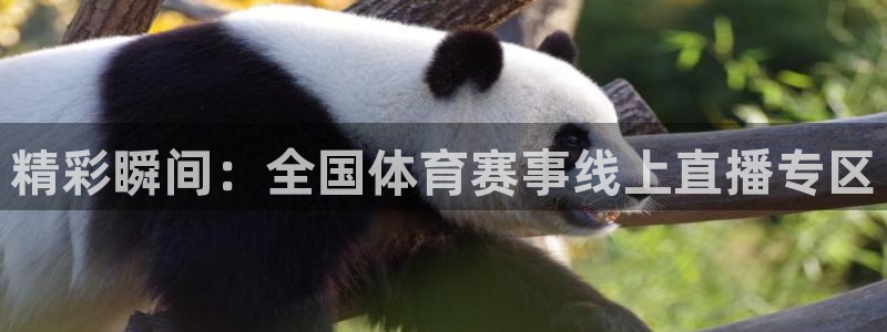 精彩瞬间：全国体育赛事线上直播专区