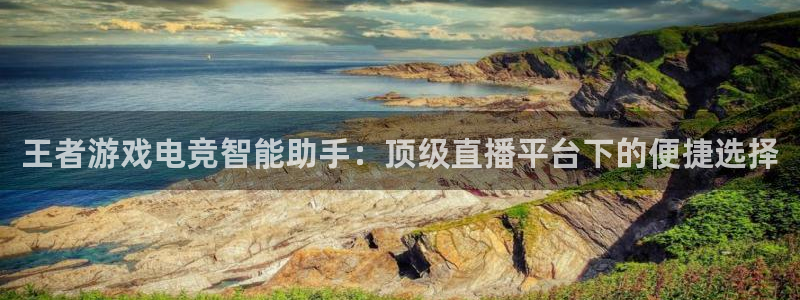 王者游戏电竞智能助手：顶级直播平台下的便捷选择