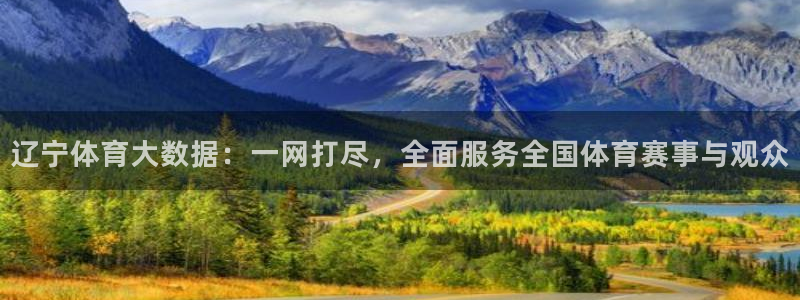辽宁体育大数据：一网打尽，全面服务全国体育赛事与观众