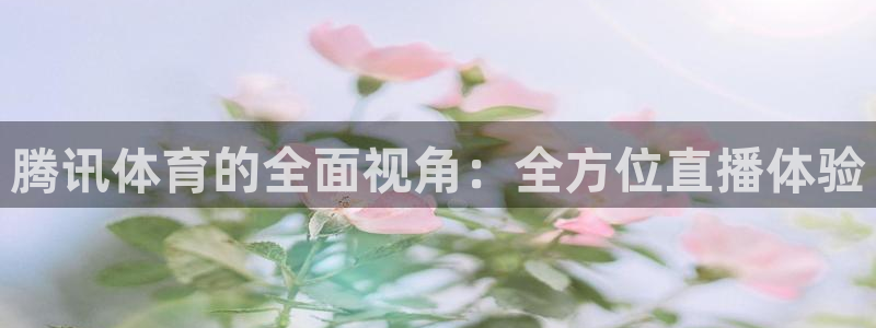 腾讯体育的全面视角：全方位直播体验