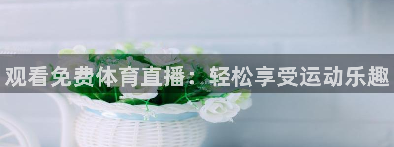 观看免费体育直播：轻松享受运动乐趣