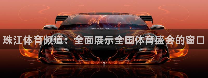 珠江体育频道：全面展示全国体育盛会的窗口