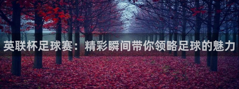 英联杯足球赛：精彩瞬间带你领略足球的魅力