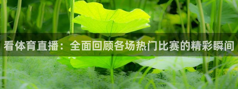 看体育直播：全面回顾各场热门比赛的精彩瞬间