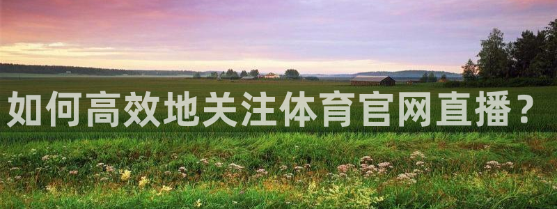 如何高效地关注体育官网直播？