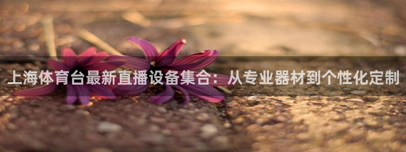 上海体育台最新直播设备集合：从专业器材到个性化定制