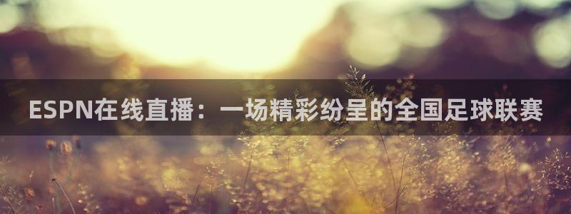 ESPN在线直播：一场精彩纷呈的全国足球联赛