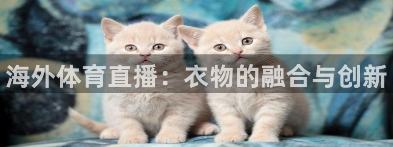 海外体育直播：衣物的融合与创新