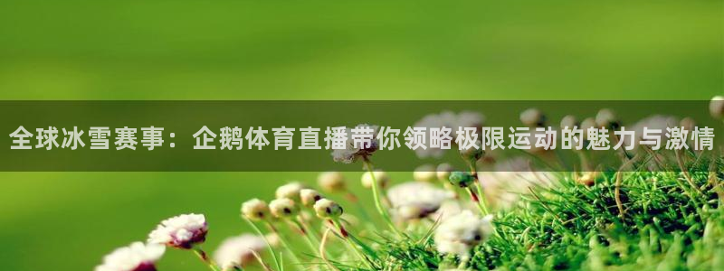 全球冰雪赛事：企鹅体育直播带你领略极限运动的魅力与激情