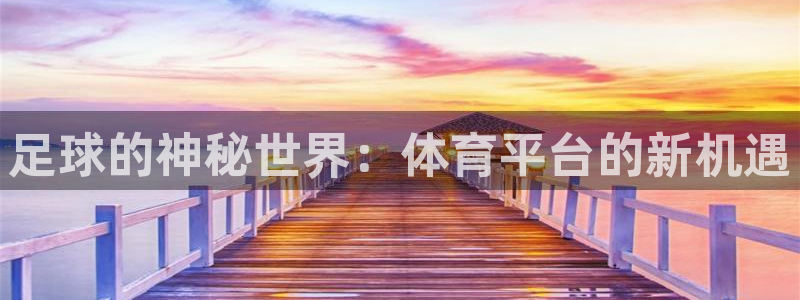 足球的神秘世界：体育平台的新机遇