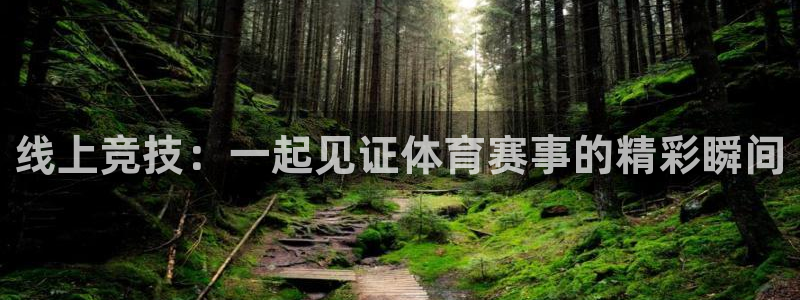 线上竞技：一起见证体育赛事的精彩瞬间
